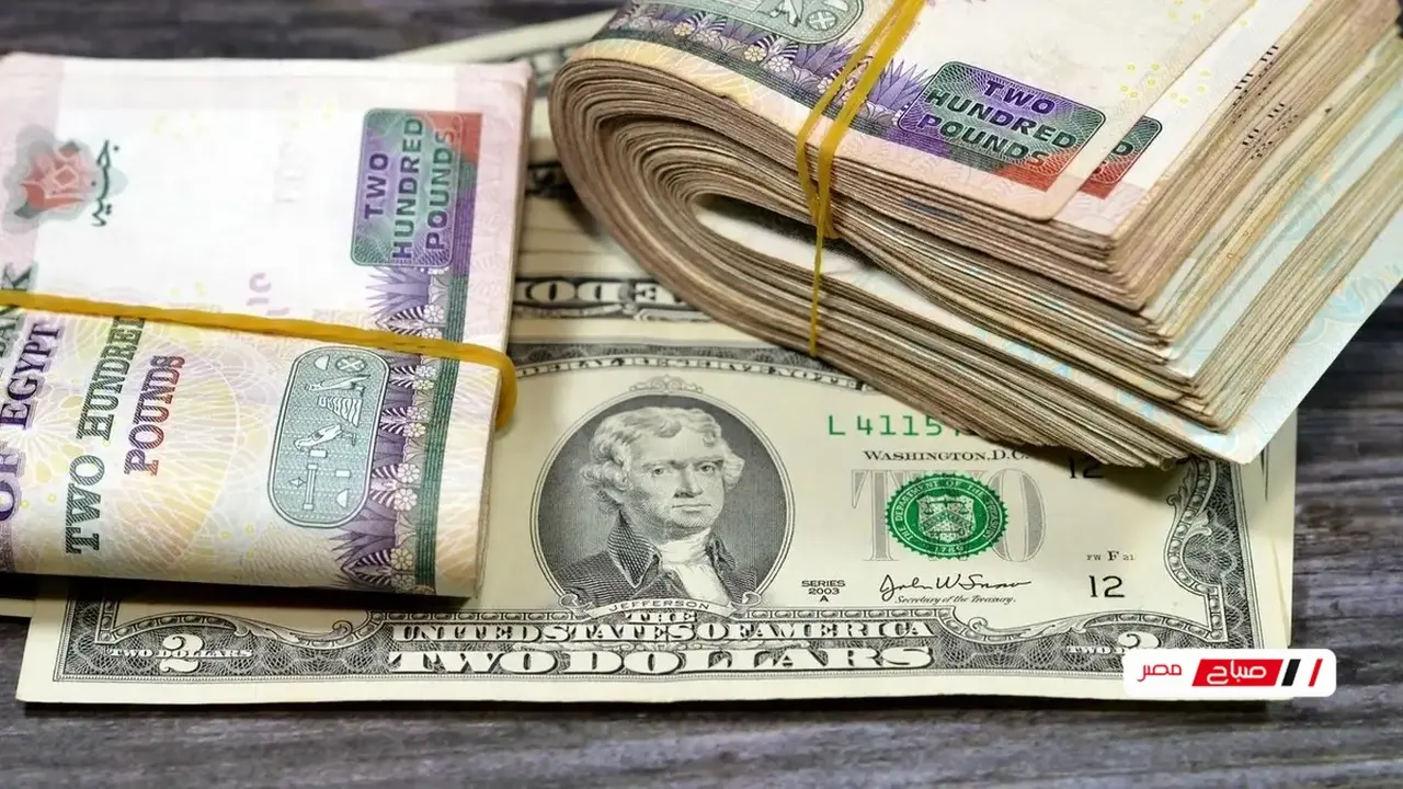 زيادة جديدة.. سعر الدولار في البنك الأهلي المصري يتخطى مستويات العملات العربية